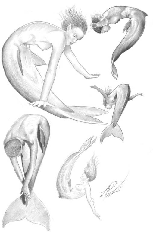 Drawings|Diving mermaids