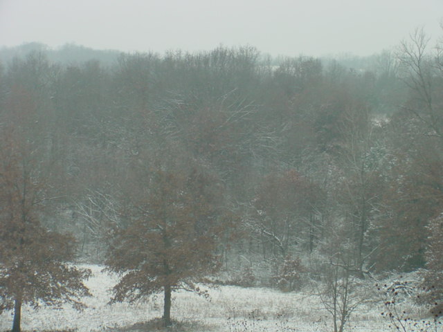 Photography|Snow